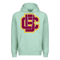 Seafoam bethune cookman Premium Hoodie - DesignPulse