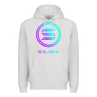 Dove Grey solana crypto sol coin blockchain decentralized application long sleev Premium Hoodie - DesignPulse