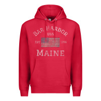 Cardinal Bar Harbor Maine USA American Flag Established ME Vintage Premium Hoodie - PixelWave