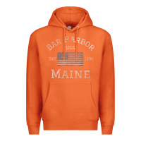 Carrot Bar Harbor Maine USA American Flag Established ME Vintage Premium Hoodie - PixelWave