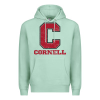 Seafoam cornell big red Premium Hoodie - Craftify