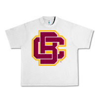 Lunar Rock bethune cookman Urban Heavy Tee - DesignPulse