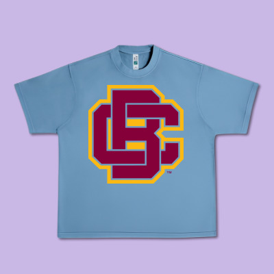 Bethune Cookman Urban Heavy Tee Designed By Designpulse