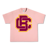 Salmon bethune cookman Urban Heavy Tee - DesignPulse