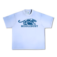 Grape Ice middlebury panthers Urban Heavy Tee - Craftify