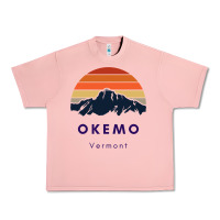 Salmon Okemo Vermont Skiing Snowboarding Hikers Gifts for VT Travel Urban Heavy Tee - InspiraDesign