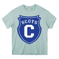Arona covenant college scots Heavy Core Tee - DesignPulse