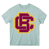 Arona bethune cookman Heavy Core Tee - DesignPulse