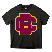 Asphalt bethune cookman Heavy Core Tee - DesignPulse