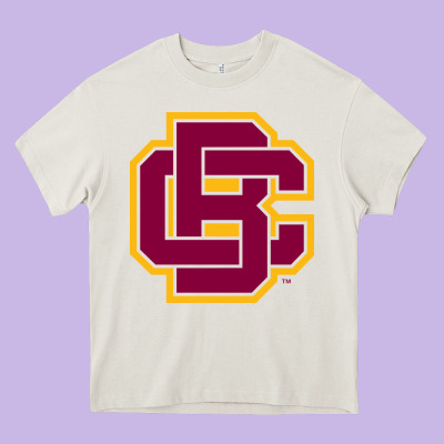 Bethune Cookman Heavy Core Tee Designed By Designpulse