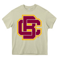 Mossy bethune cookman Heavy Core Tee - DesignPulse