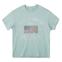 Arona Bar Harbor Maine USA American Flag Established ME Vintage Heavy Core Tee - PixelWave