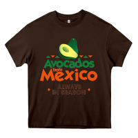 Chocolate Brown Avocados From Mexico Always In Season Classic Sweat Tank Women Classic Heavy Core Tee - Craftify