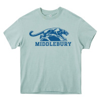 Arona middlebury panthers Heavy Core Tee - Craftify