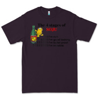 Plum the 4 stages of soju i'm rich i'm good looking t shirt Premium Tee - DesignPulse