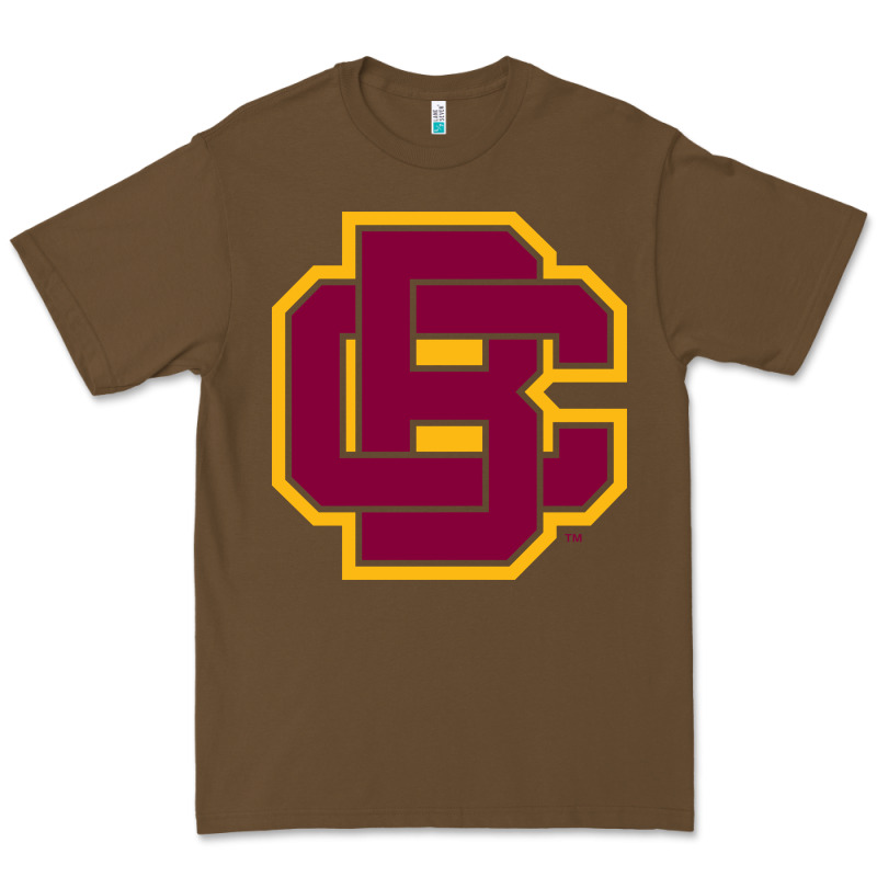 Bethune Cookman Premium Tee by DesignPulse | Teevron