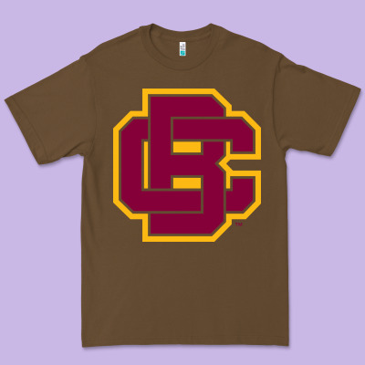 Bethune Cookman Premium Tee Designed By Designpulse