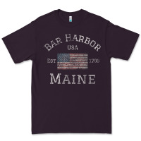 Plum Bar Harbor Maine USA American Flag Established ME Vintage Premium Tee - PixelWave