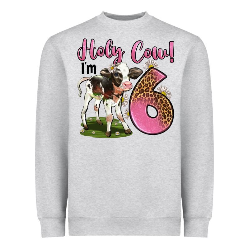 Holy Cow I'm 6 Years Old Heavyweight Sweatshirt by LillyAllenDesigns | Teevron
