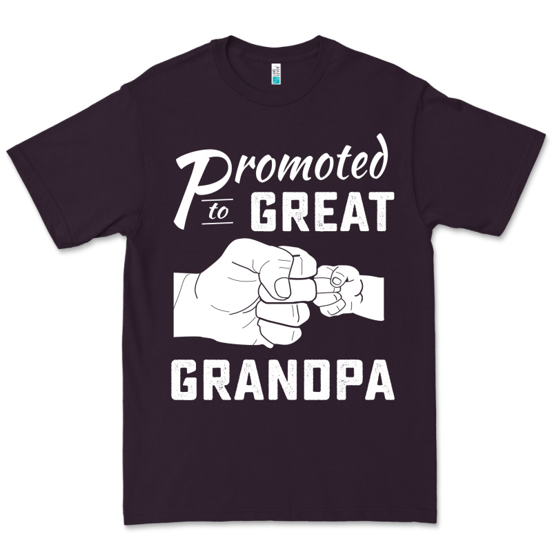 Promoted To Great Grandpa Premium Tee by PixelWave | Teevron