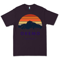 Plum Okemo Vermont Skiing Snowboarding Hikers Gifts for VT Travel Premium Tee - InspiraDesign