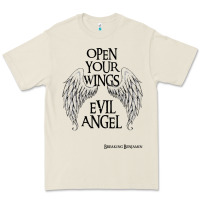 Breaking Benjamin Premium Tee | Teevron