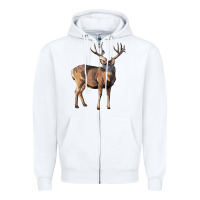 White Mule Buck Deer Zipper Hoodie - LillyAllenDesigns