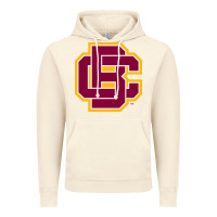Vintage Artic bethune cookman Vintage Hoodie - DesignPulse
