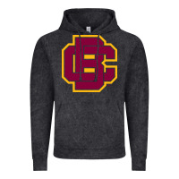 Vintage Black bethune cookman Vintage Hoodie - DesignPulse