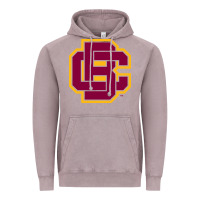 Vintage Zinc bethune cookman Vintage Hoodie - DesignPulse
