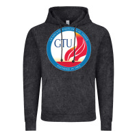 Vintage Black graduate, theological, education (GTU) Vintage Hoodie - PixelWave