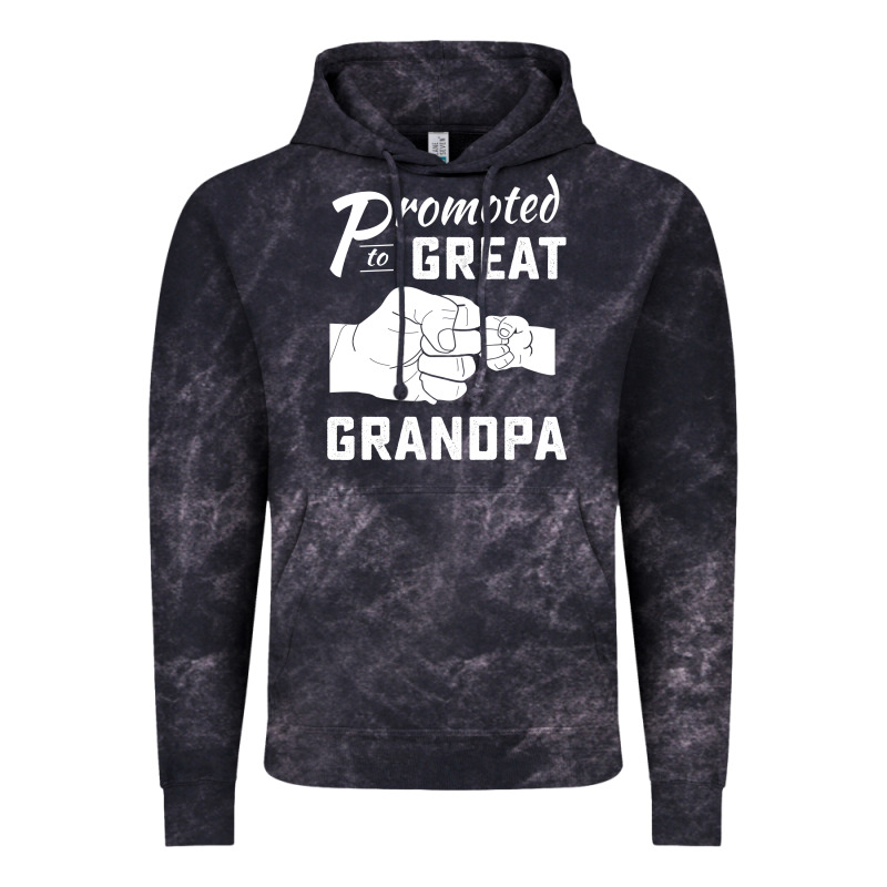 Promoted To Great Grandpa Vintage Hoodie by PixelWave | Teevron