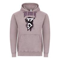 Vintage Zinc Beartooths Vintage Hoodie - PixelWave