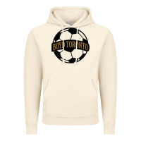 Vintage Artic Boyd Toronto Soccer Vintage Hoodie - PixelWave