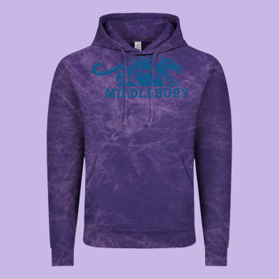 Middlebury Panthers Vintage Hoodie Designed By Craftify