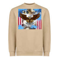 America Eagle Heavyweight Sweatshirt | Teevron