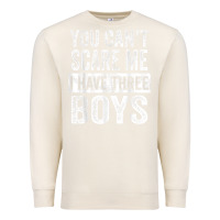 Sandshell You Can't Scare Me I Have Three Boys Funny Sons Mom Dad Gift Premium Sweatshirt - DesignPulse