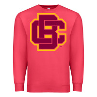 Cardinal bethune cookman Premium Sweatshirt - DesignPulse