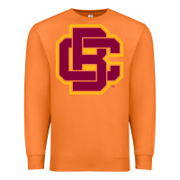 Carrot bethune cookman Premium Sweatshirt - DesignPulse