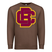 Chestnut bethune cookman Premium Sweatshirt - DesignPulse