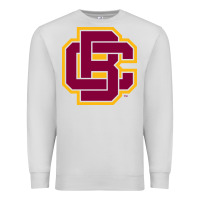 Dove Grey bethune cookman Premium Sweatshirt - DesignPulse