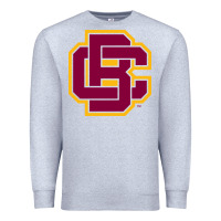 Heather Grey bethune cookman Premium Sweatshirt - DesignPulse