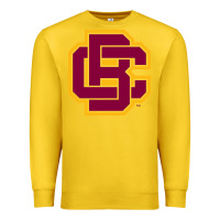 Lemon bethune cookman Premium Sweatshirt - DesignPulse