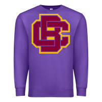 Purple bethune cookman Premium Sweatshirt - DesignPulse