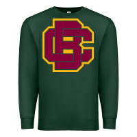 Sports Green bethune cookman Premium Sweatshirt - DesignPulse