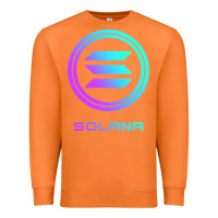 Carrot solana crypto sol coin blockchain decentralized application long sleev Premium Sweatshirt - DesignPulse
