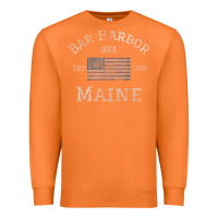 Carrot Bar Harbor Maine USA American Flag Established ME Vintage Premium Sweatshirt - PixelWave
