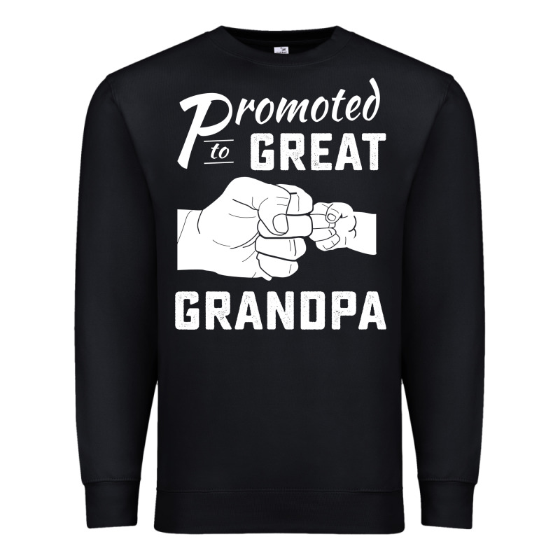 Promoted To Great Grandpa Premium Sweatshirt by PixelWave | Teevron