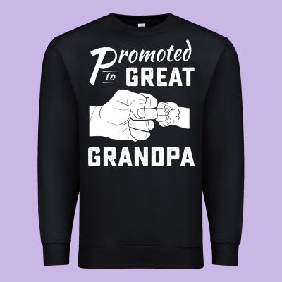 Promoted To Great Grandpa Premium Sweatshirt Designed By Pixelwave