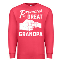Cardinal Promoted to Great Grandpa Premium Sweatshirt - PixelWave